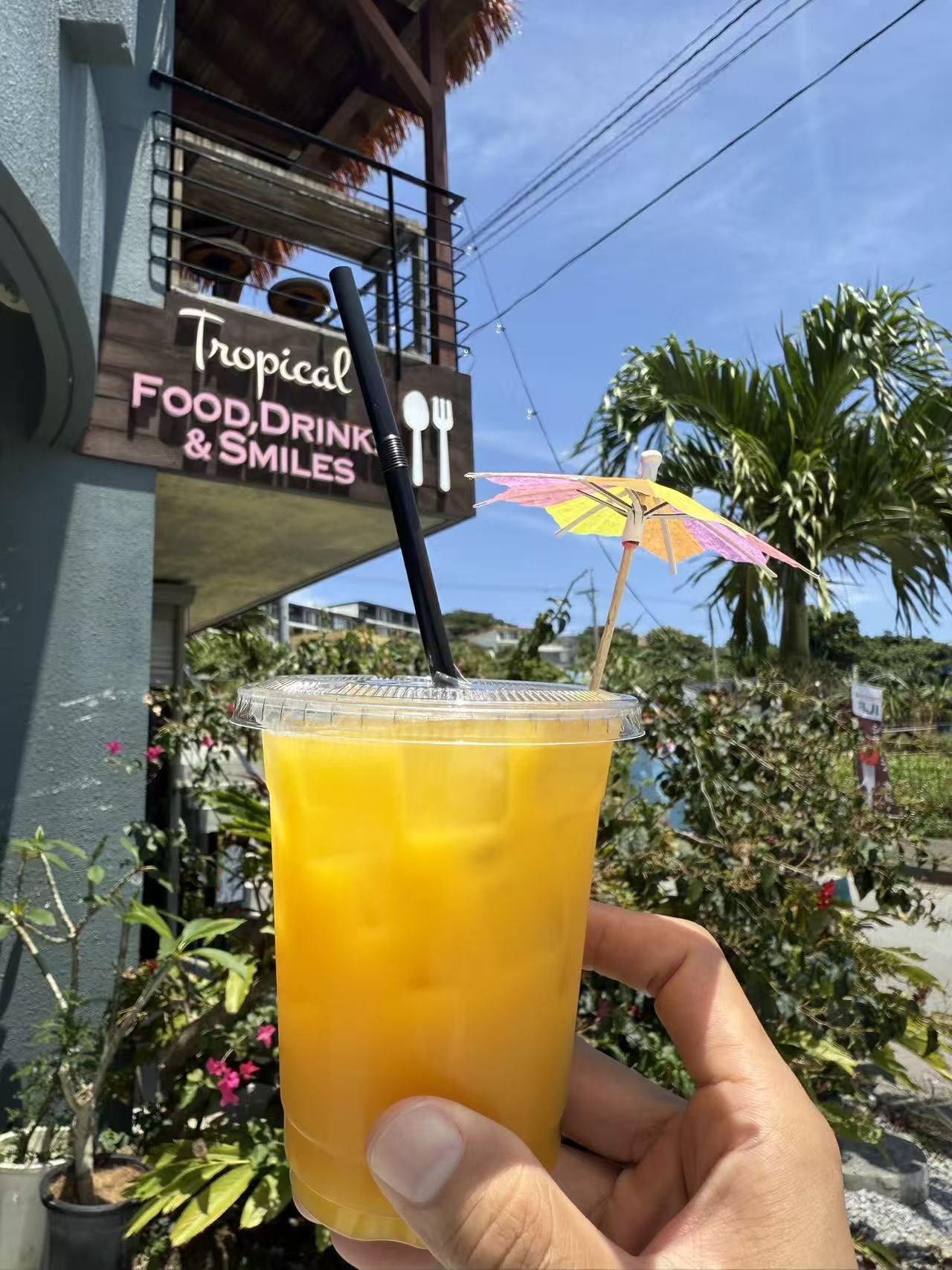 沖縄の絶景カフェ「Ailando Tropical Restaurant & Cafe」｜海を眺めながら楽しむ沖縄観光と快適な移動プラン